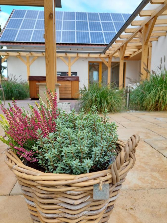 Villa Quality Wellness Dozmat Exterior foto