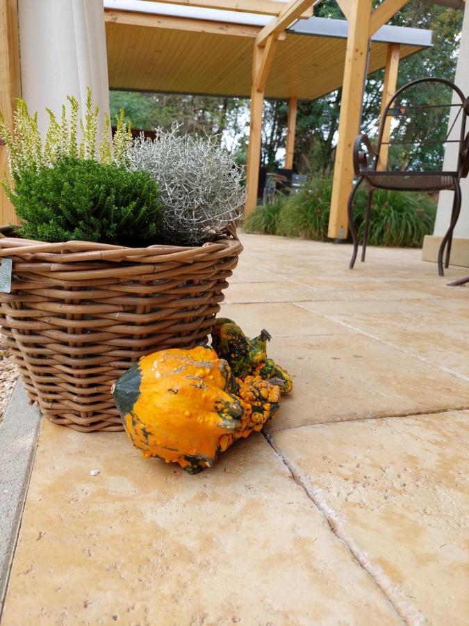 Villa Quality Wellness Dozmat Exterior foto